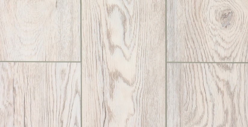 Дуб Каменный - миниатюра 6