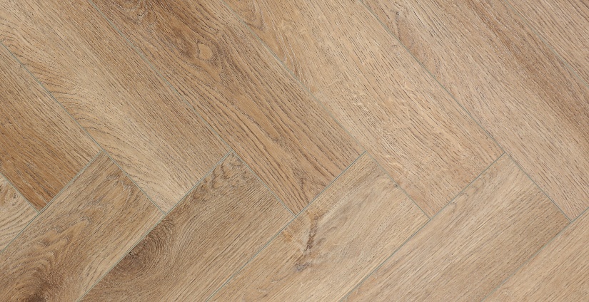 Дуб Монпелье - миниатюра 5