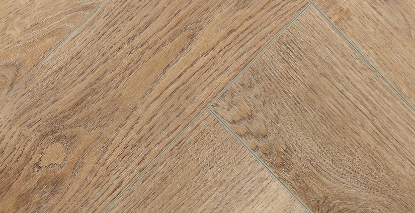 Дуб Монпелье - миниатюра 6