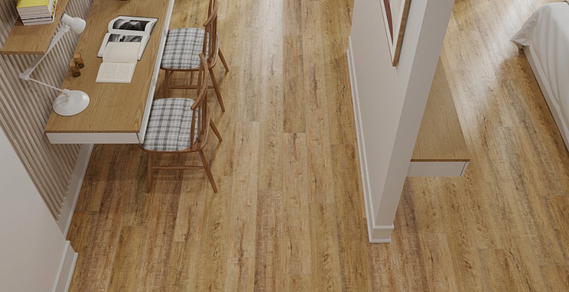 Дуб Робуста