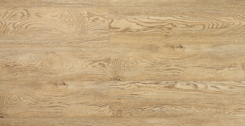 Дуб Золотистый - миниатюра 5