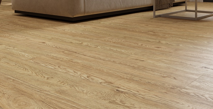 Дуб Золотистый - миниатюра 3